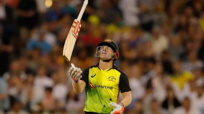 David Warner T20I Stats: Total Runs, Strike Rate, Average and More